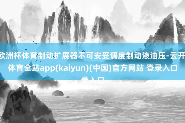 欧洲杯体育制动扩展器不可安妥调度制动液油压-云开·体育全站app(kaiyun)(中国)官方网站 登录入口