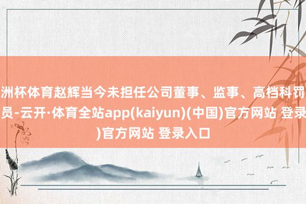 欧洲杯体育赵辉当今未担任公司董事、监事、高档科罚东谈主员-云开·体育全站app(kaiyun)(中国)官方网站 登录入口