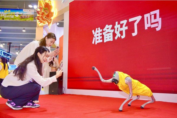 开yun体育网为搭客定制了两极深度探险-云开·体育全站app(kaiyun)(中国)官方网站 登录入口