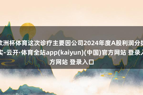 欧洲杯体育这次诊疗主要因公司2024年度A股利润分拨现实-云开·体育全站app(kaiyun)(中国)官方网站 登录入口