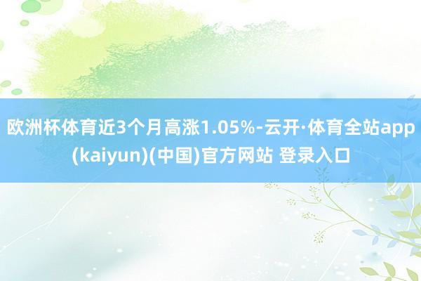 欧洲杯体育近3个月高涨1.05%-云开·体育全站app(kaiyun)(中国)官方网站 登录入口