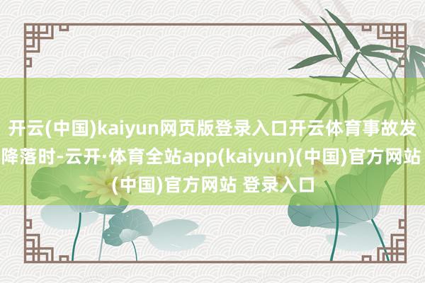 开云(中国)kaiyun网页版登录入口开云体育事故发生在飞机降落时-云开·体育全站app(kaiyun)(中国)官方网站 登录入口