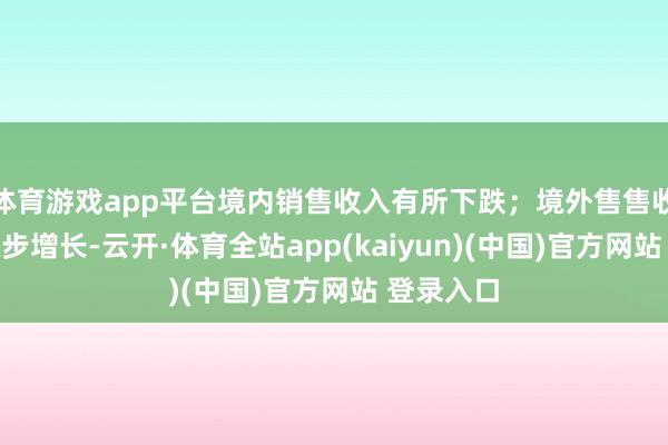 体育游戏app平台境内销售收入有所下跌；境外售售收入竣事稳步增长-云开·体育全站app(kaiyun)(中国)官方网站 登录入口