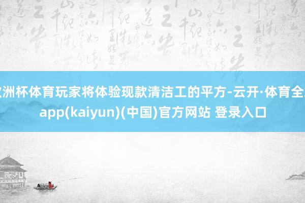 欧洲杯体育玩家将体验现款清洁工的平方-云开·体育全站app(