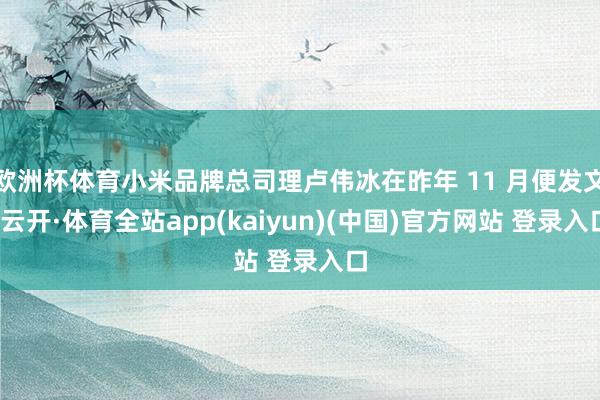 欧洲杯体育小米品牌总司理卢伟冰在昨年 11 月便发文-云开·