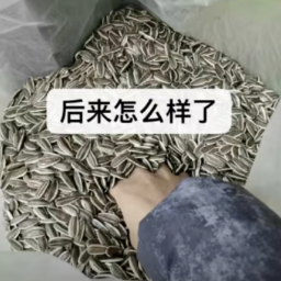 飞书文档 - 图片