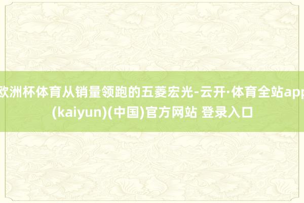 欧洲杯体育从销量领跑的五菱宏光-云开·体育全站app(kai