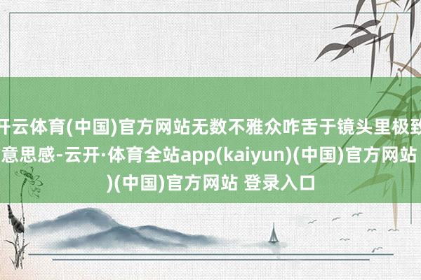 开云体育(中国)官方网站无数不雅众咋舌于镜头里极致的视觉好意思感-云开·体育全站app(kaiyun)(中国)官方网站 登录入口