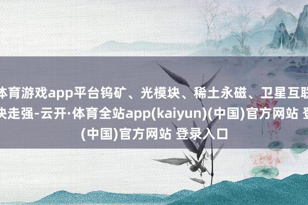 体育游戏app平台钨矿、光模块、稀土永磁、卫星互联网等板块走